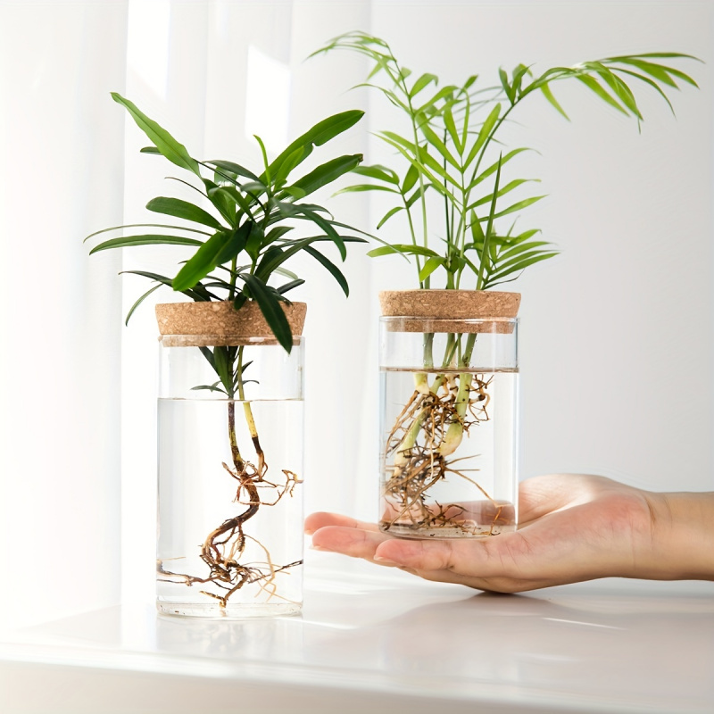 Plant Growth Regulator - 1pc, Hydroponics Plants Desktop Glass Planter