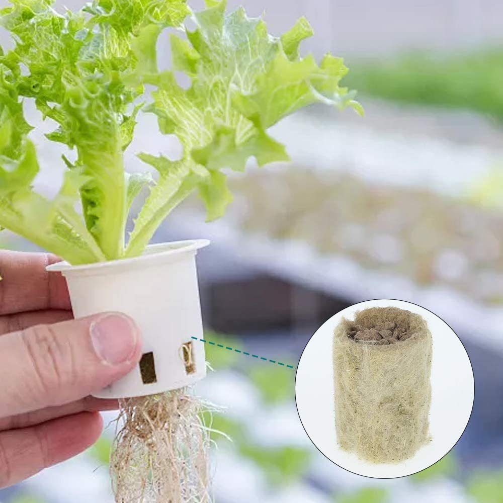 Nursery Plug Tray - 50PCS 27*20mm Size Hydroponic Seedling Block