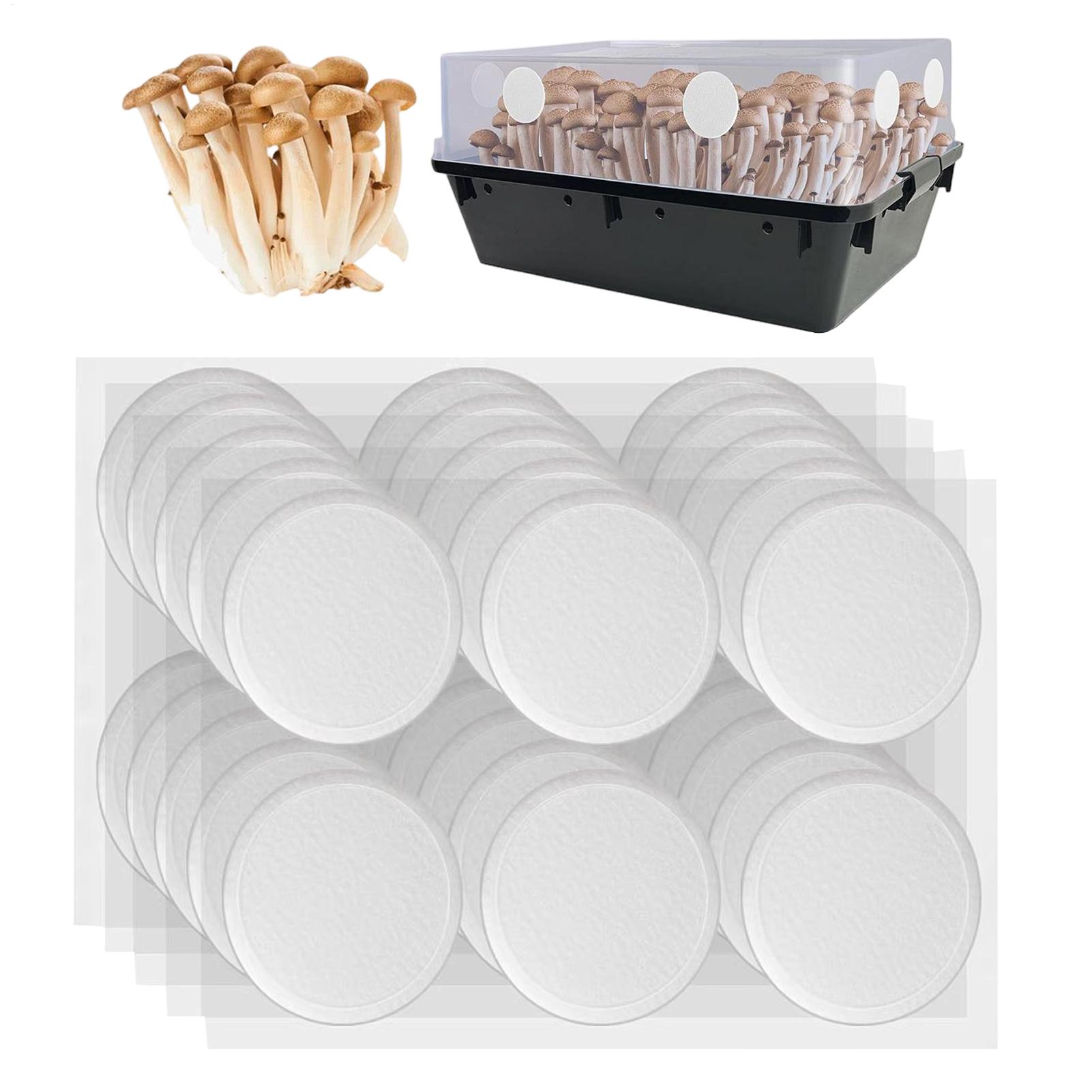 Mushroom Spawn Bag - 30Pcs Adhesive Filter Disks Breathable Reusable