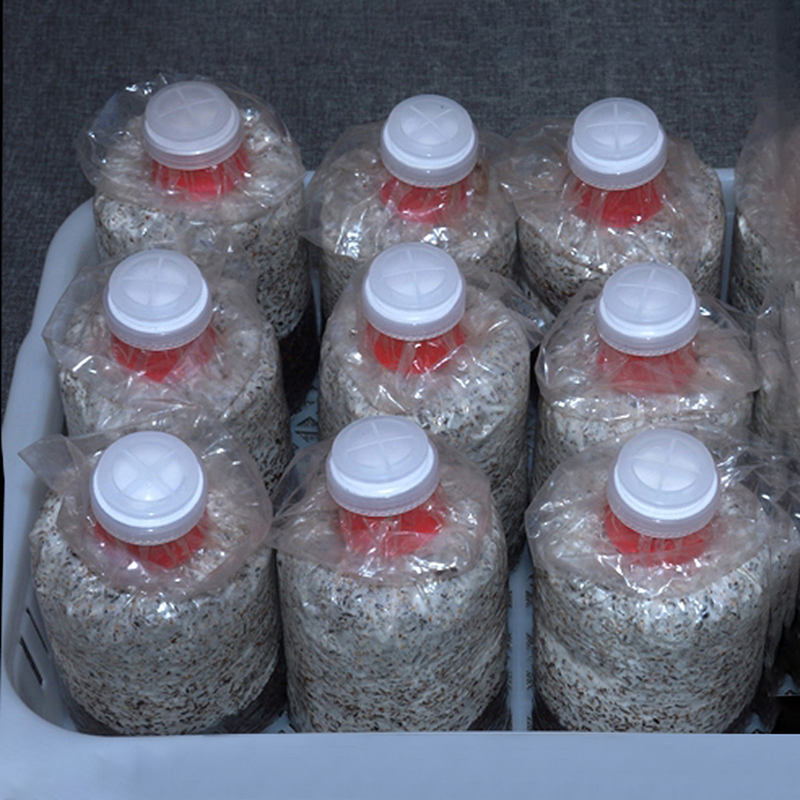 10Pcs Mushroom Grow Bag Sealer - огляд і ціна Mushroom Spawn Bag