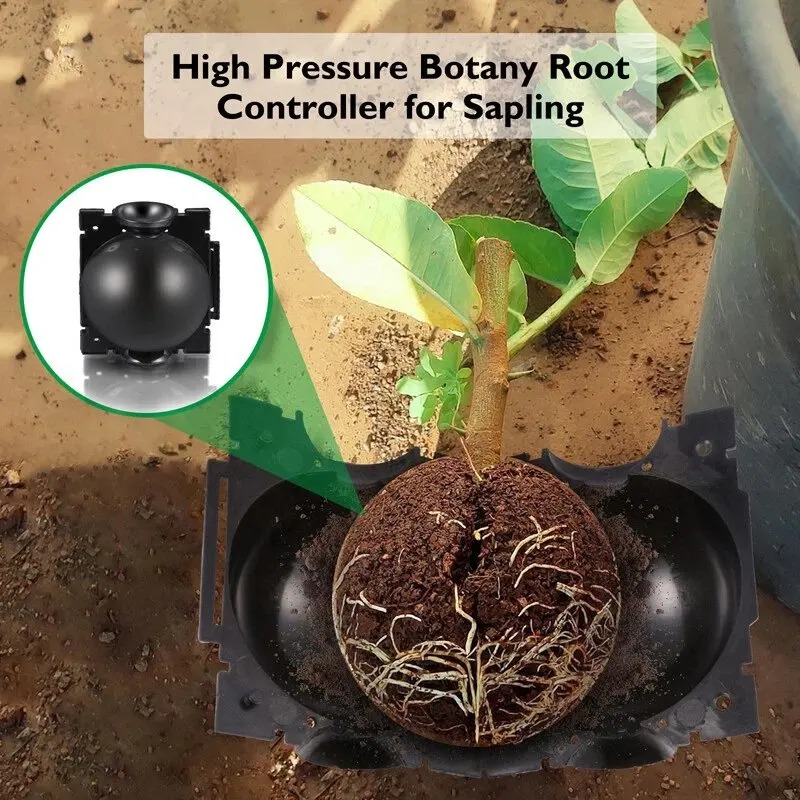 5/30Pcs Plant Rooting Ball Gra - огляд і ціна Plant Growth Regulator