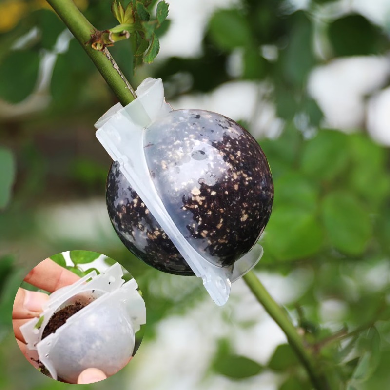 5/30Pcs Plant Rooting Ball Gra - огляд і ціна Plant Growth Regulator