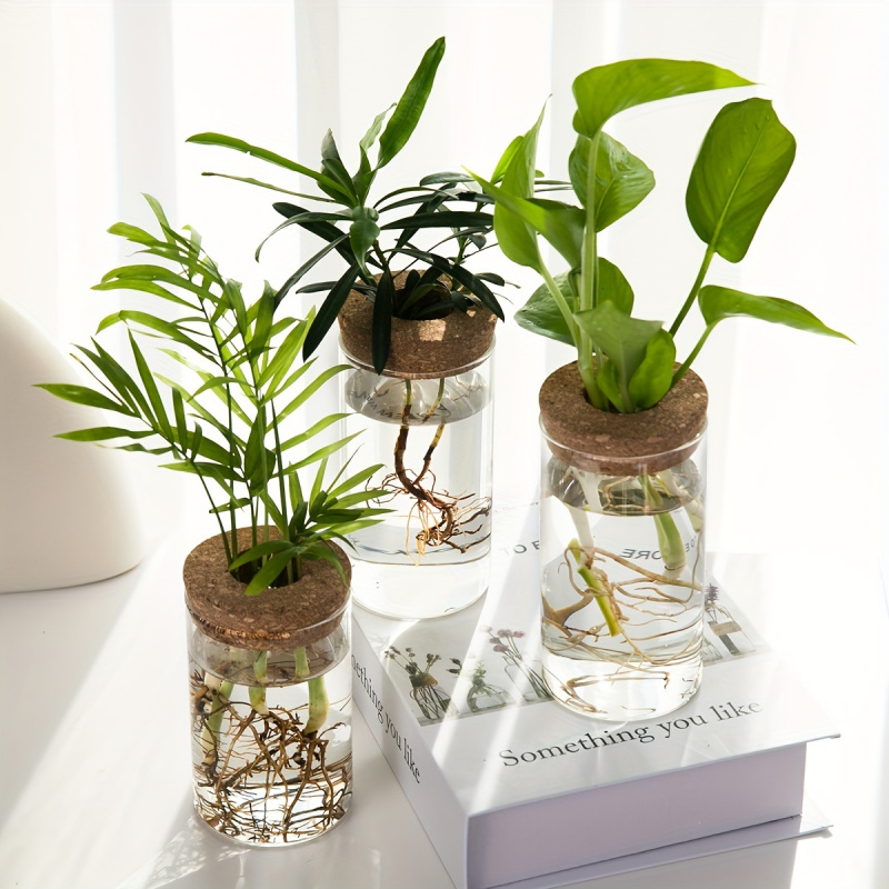 1pc, Hydroponics Plants Deskto - огляд і ціна Plant Growth Regulator