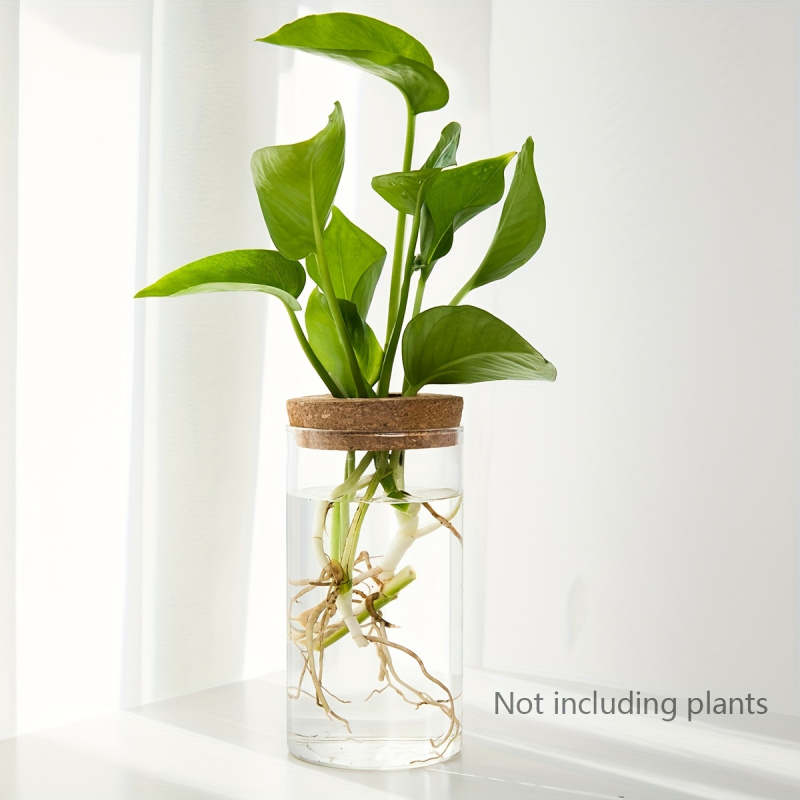 1pc, Hydroponics Plants Deskto - огляд і ціна Plant Growth Regulator