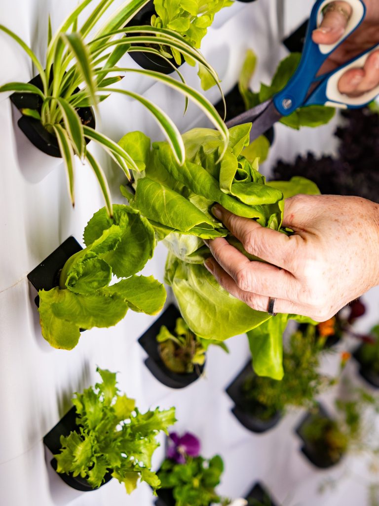 Hydroponic Growing System for  - огляд і ціна Farming Zone