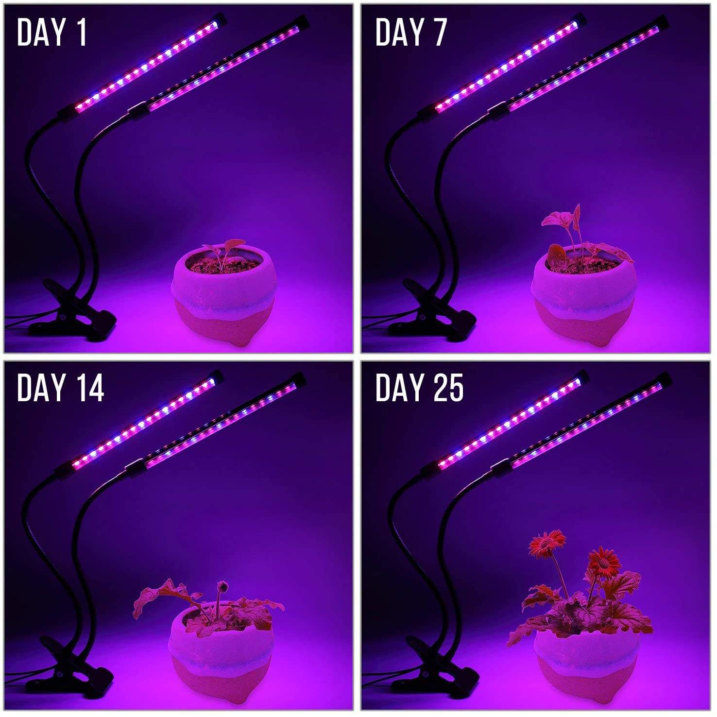 USB LED Plant Grow Light Indoo - огляд і ціна Plant Growth Regulator