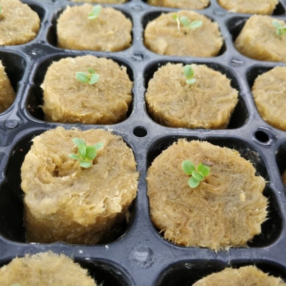 50PCS 27*20mm Size Hydroponic  - огляд і ціна Nursery Plug Tray