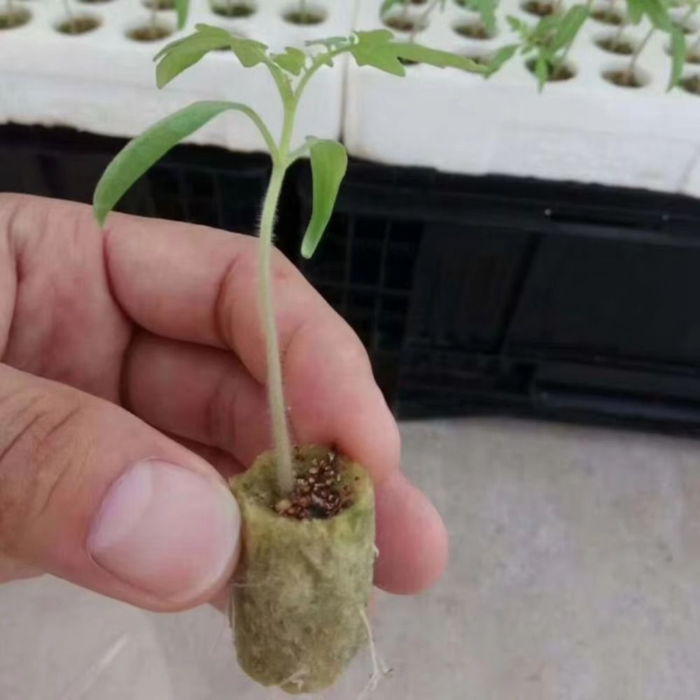 50PCS 27*20mm Size Hydroponic  - огляд і ціна Nursery Plug Tray