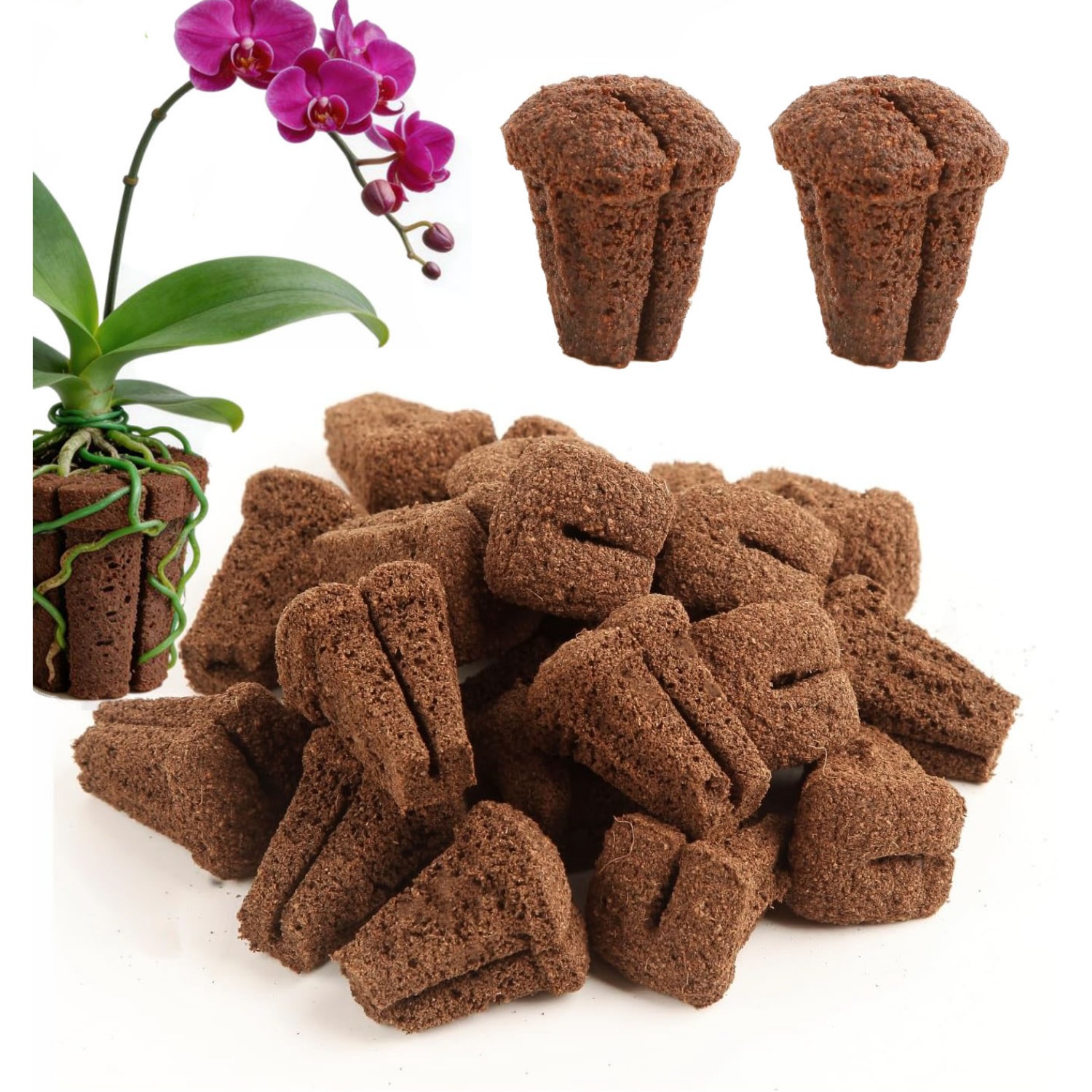 Hydroponic Rapid Grow Rooting  - огляд і ціна Nursery Plug Tray