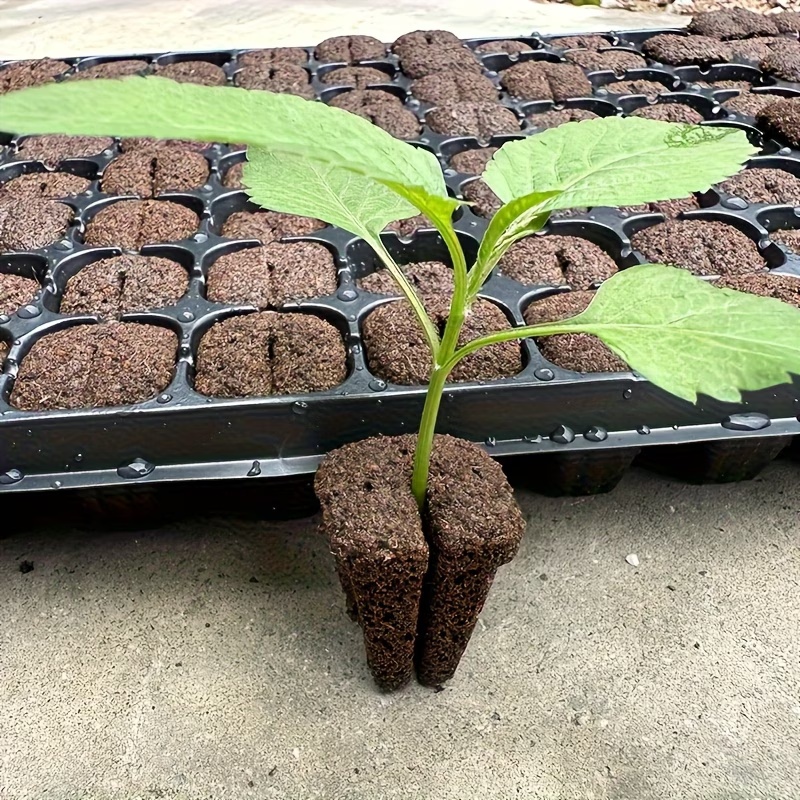 Hydroponic Rapid Grow Rooting  - огляд і ціна Nursery Plug Tray