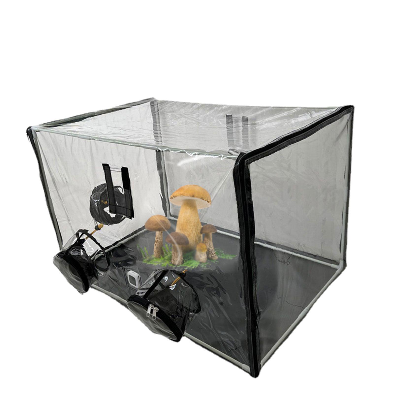 Mini Garden Greenhouse Easy to - огляд і ціна Mushroom Spawn Bag
