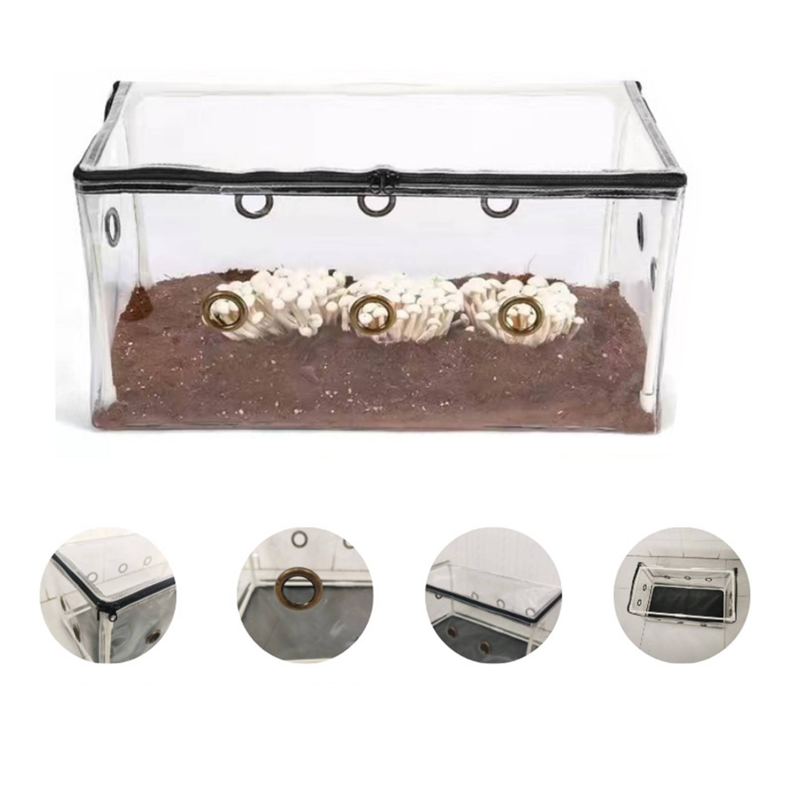 Mini Garden Greenhouse Easy to - огляд і ціна Mushroom Spawn Bag