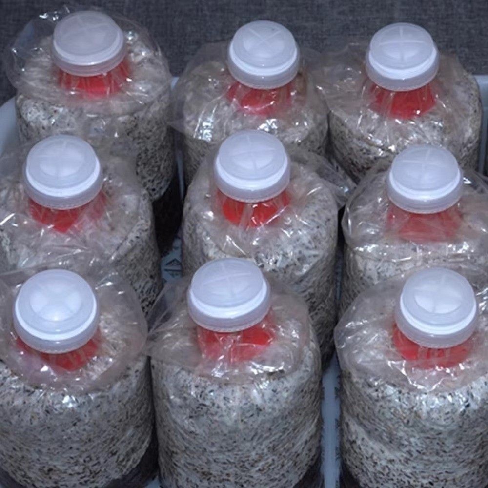 10pcs Waterproof Mushroom Spaw - огляд і ціна Mushroom Spawn Bag