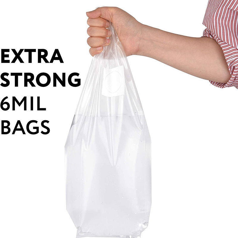 100Pcs Mushroom Growing Bag Sp - огляд і ціна Mushroom Spawn Bag