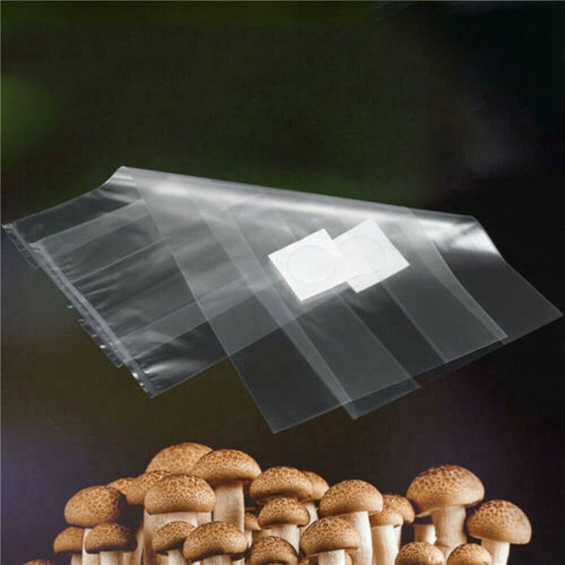 AT44-100Pcs PVC Mushroom Spawn - огляд і ціна Mushroom Spawn Bag
