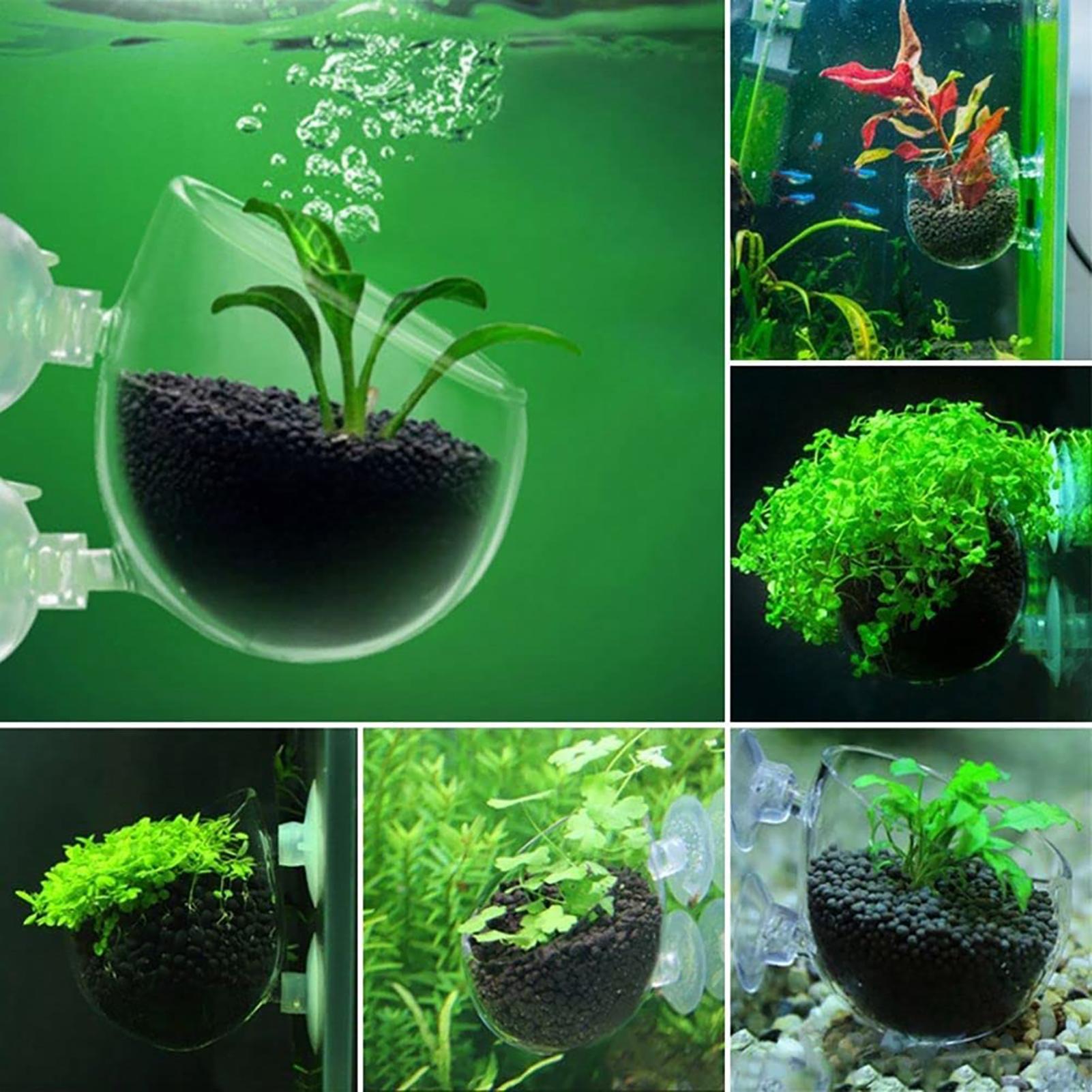 Aquatic Plant Pot Acrylic Aqua - огляд і ціна Plant Growth Regulator