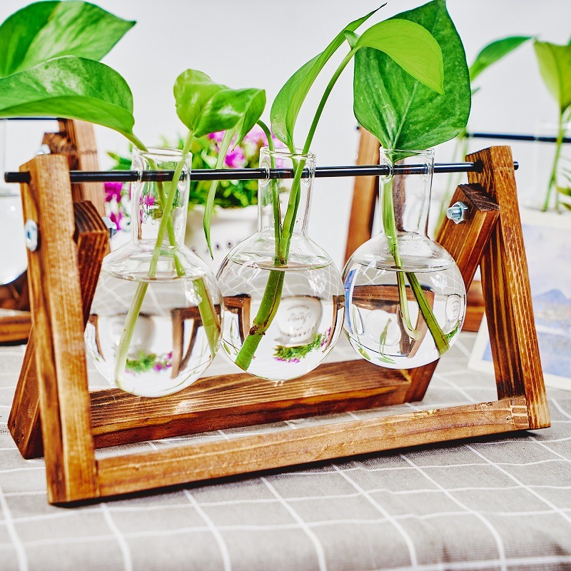 Tabletop Glass Planter Propaga - огляд і ціна Plant Growth Regulator