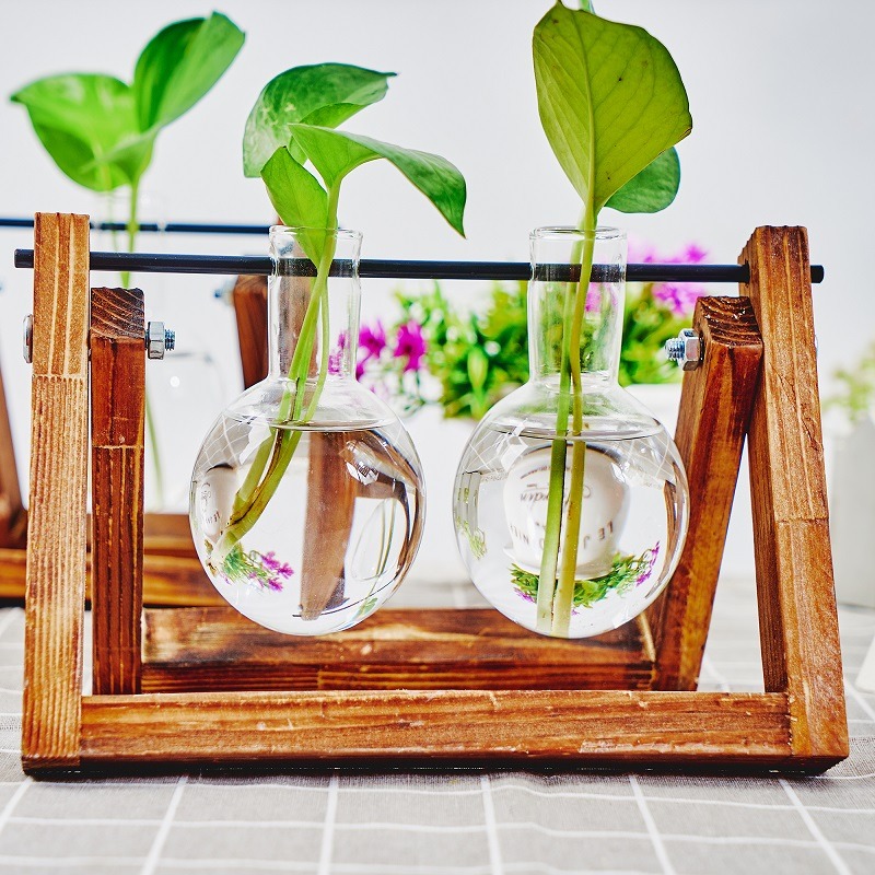 Tabletop Glass Planter Propaga - огляд і ціна Plant Growth Regulator
