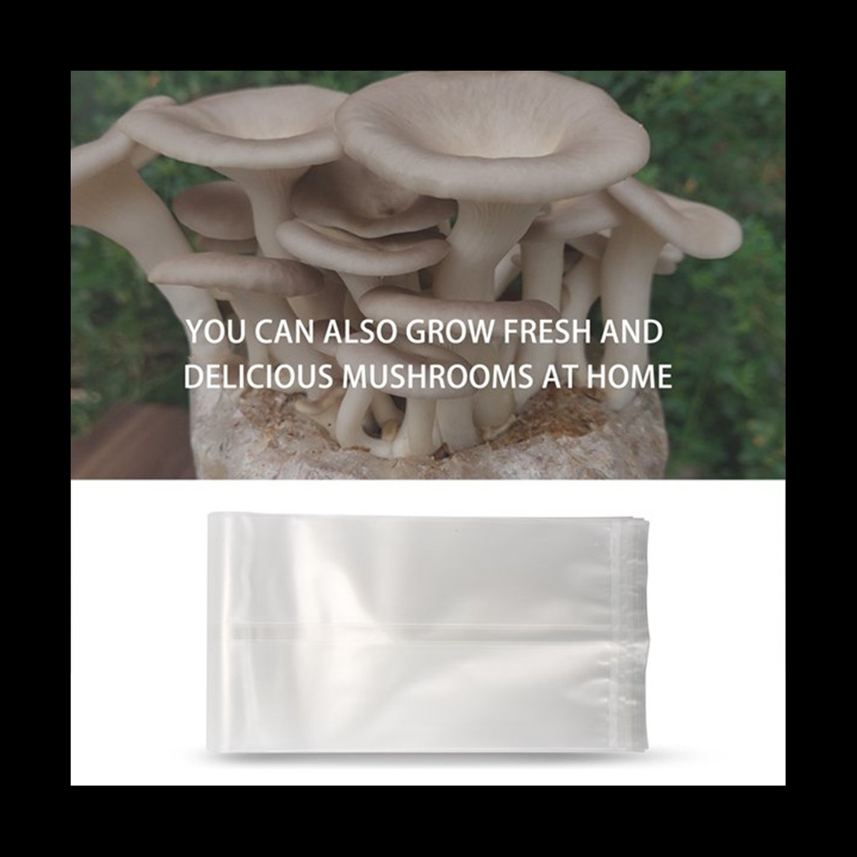 A78I 50 Count Mushroom Bags/Mu - огляд і ціна Mushroom Spawn Bag