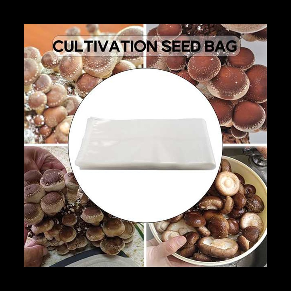 A78I 50 Count Mushroom Bags/Mu - огляд і ціна Mushroom Spawn Bag